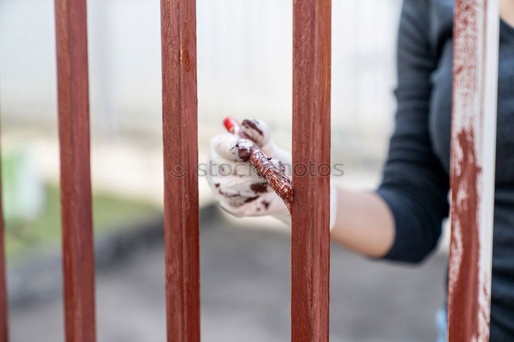 Similar – Image, Stock Photo Grease hooves Lifestyle