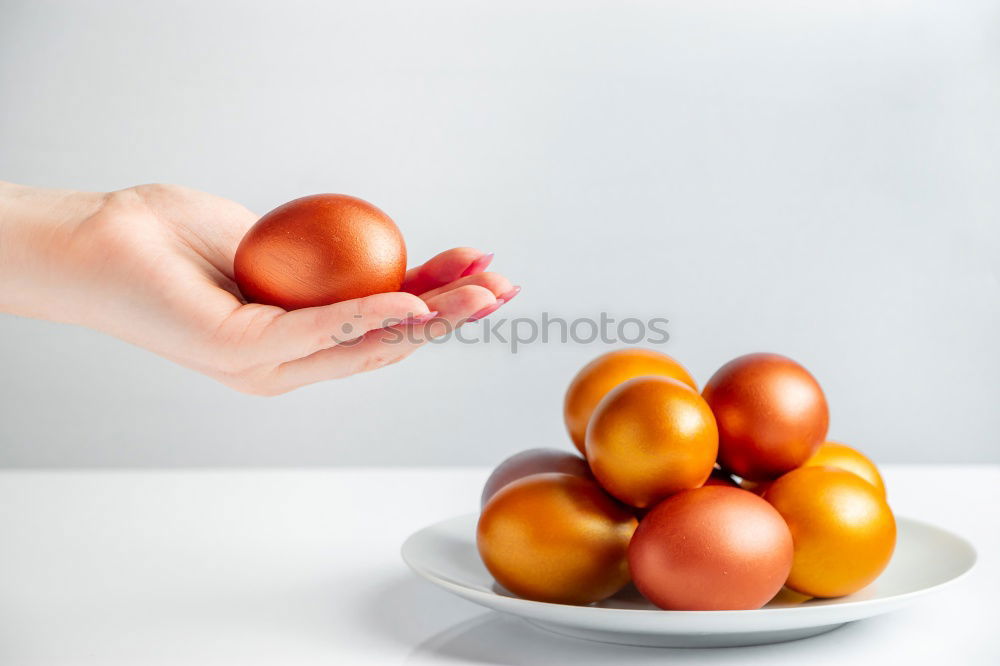 Similar – I have eggs Egg Breakfast