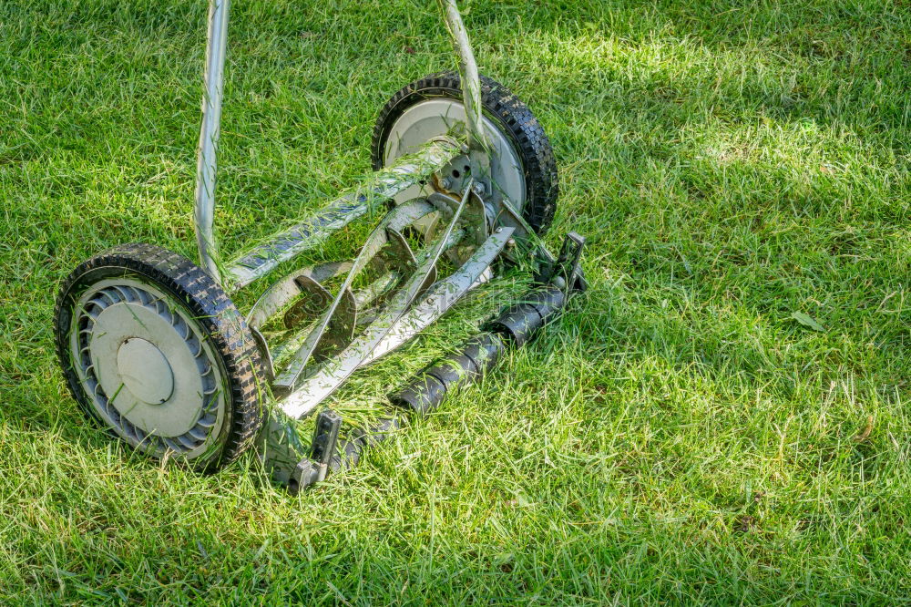 Similar – graze Lawnmower Grass