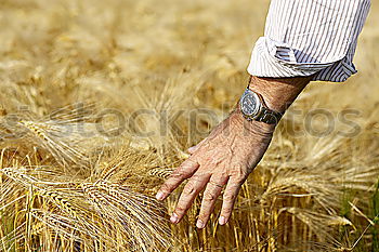 Similar – Image, Stock Photo another grain Food Grain