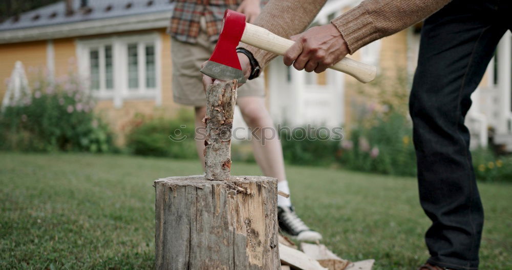 Similar – Image, Stock Photo Cheerful young man teaching his son to play mini golf