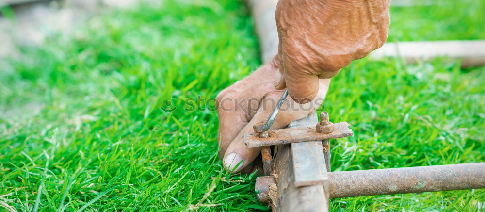 Similar – Foto Bild Gestatten: Kartoffelpü Reh