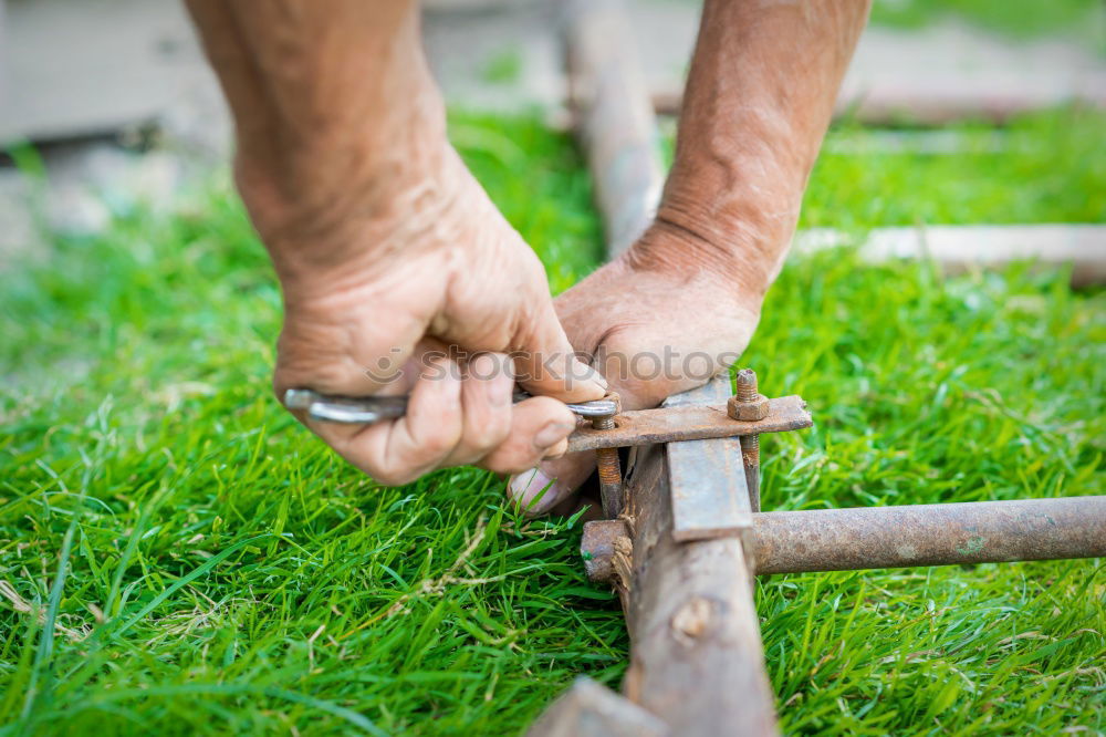 Similar – Foto Bild Süßholzraspler. ästhetisch