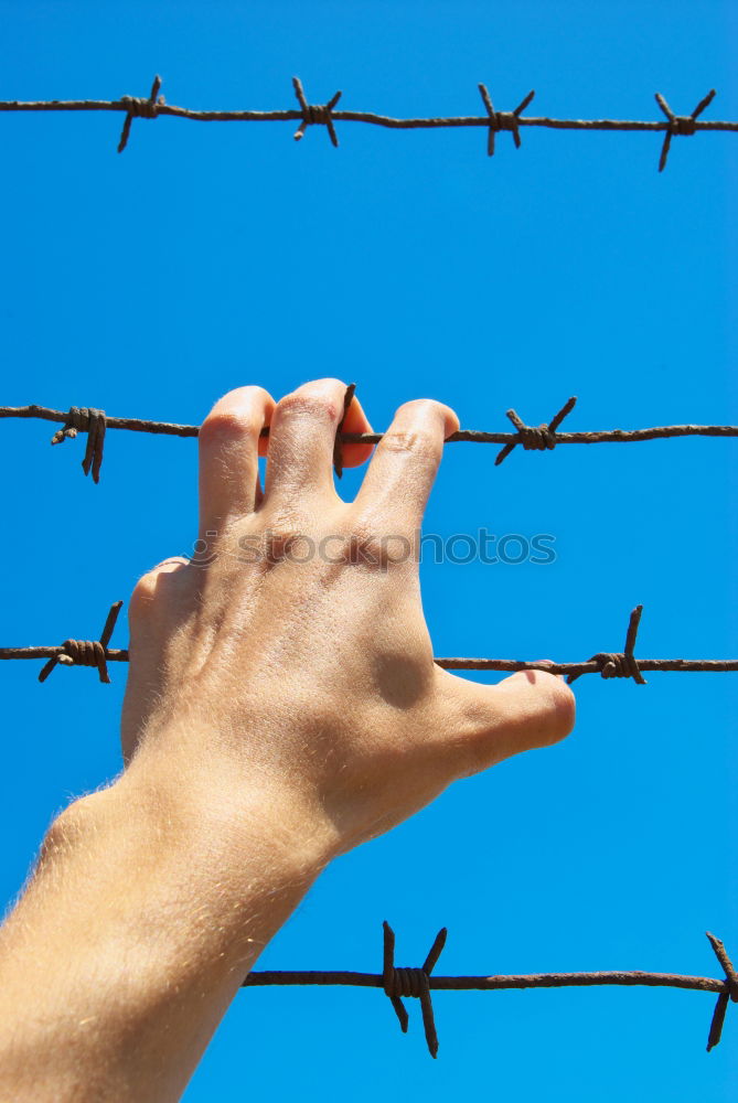 Similar – Image, Stock Photo captured. Sky