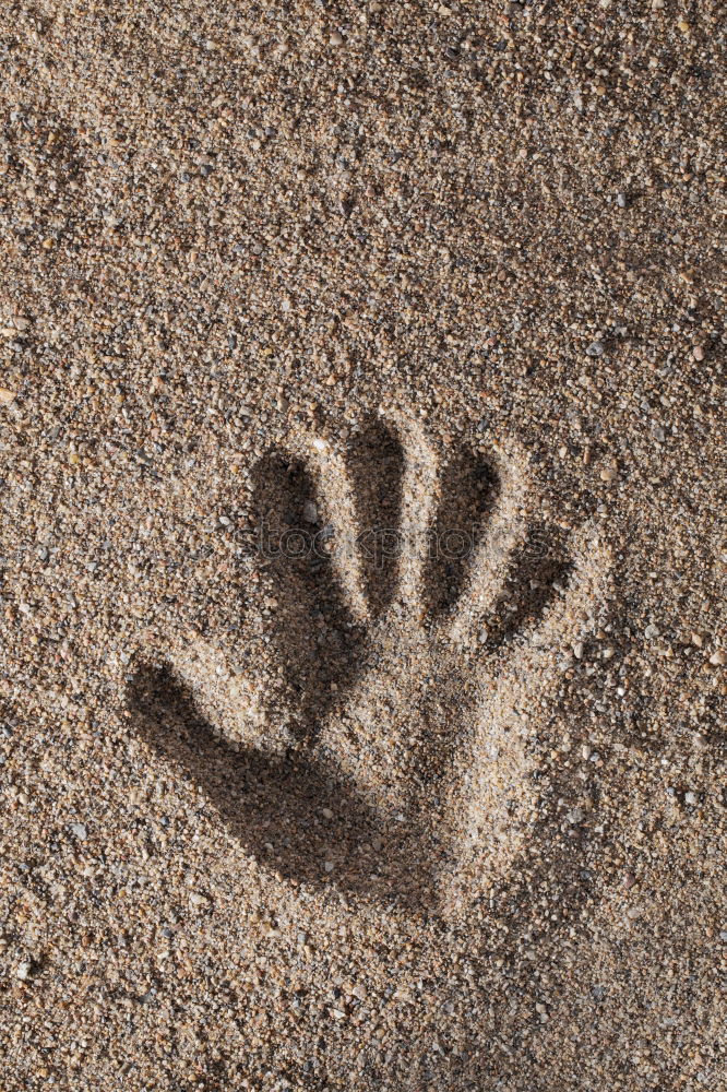 Similar – Image, Stock Photo barefoot Feet Wet Barefoot