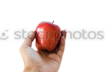 Similar – Elma Food Fruit Apple