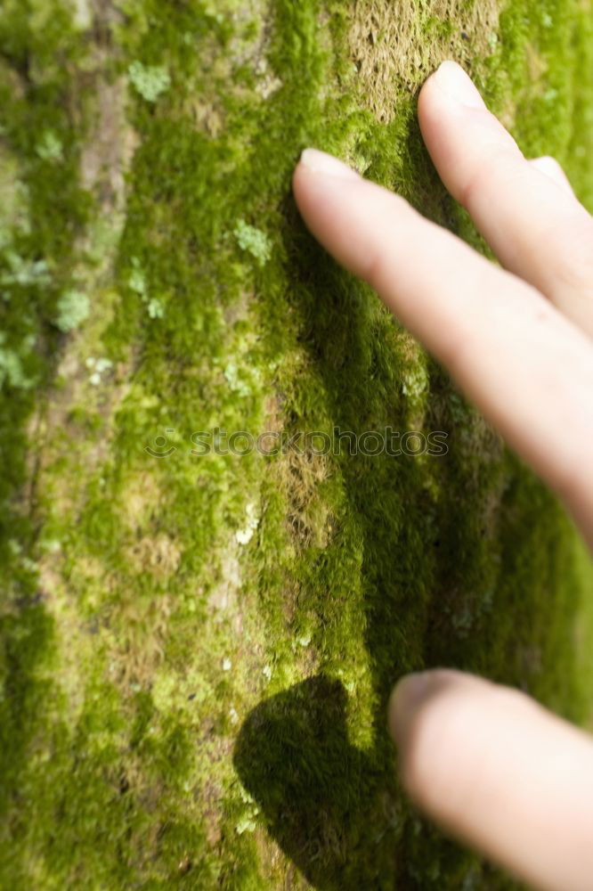 Similar – Foto Bild Klettern Bergsteigen