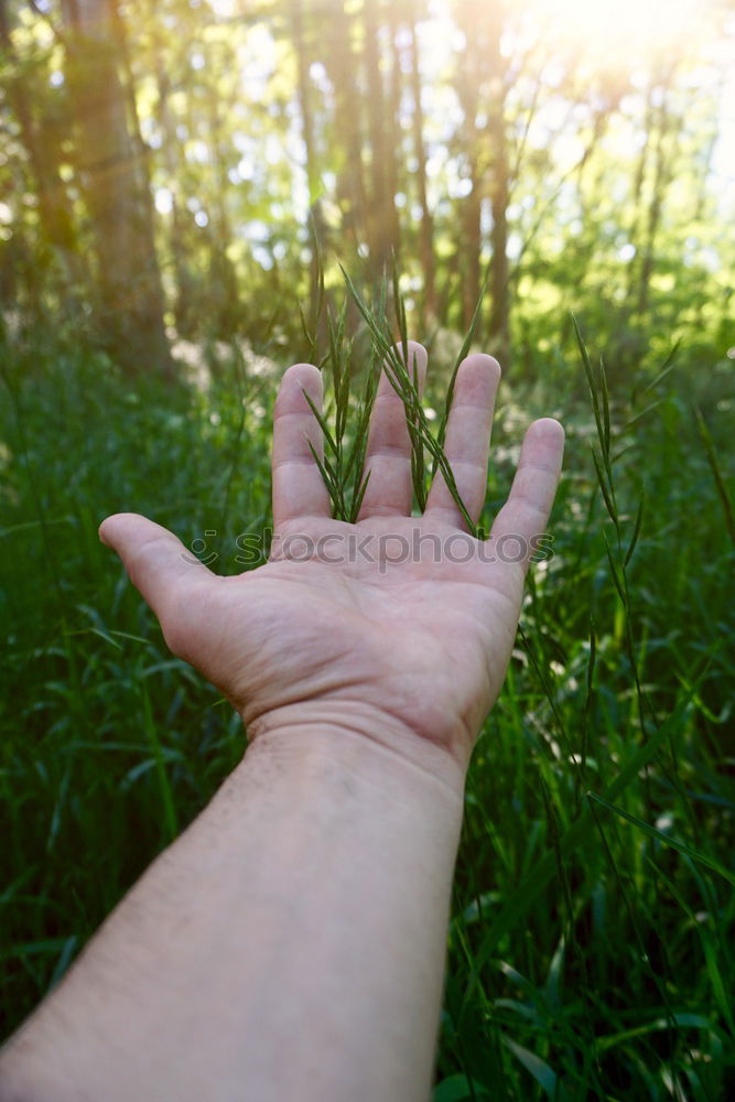 Similar – Image, Stock Photo draw Human being Feminine