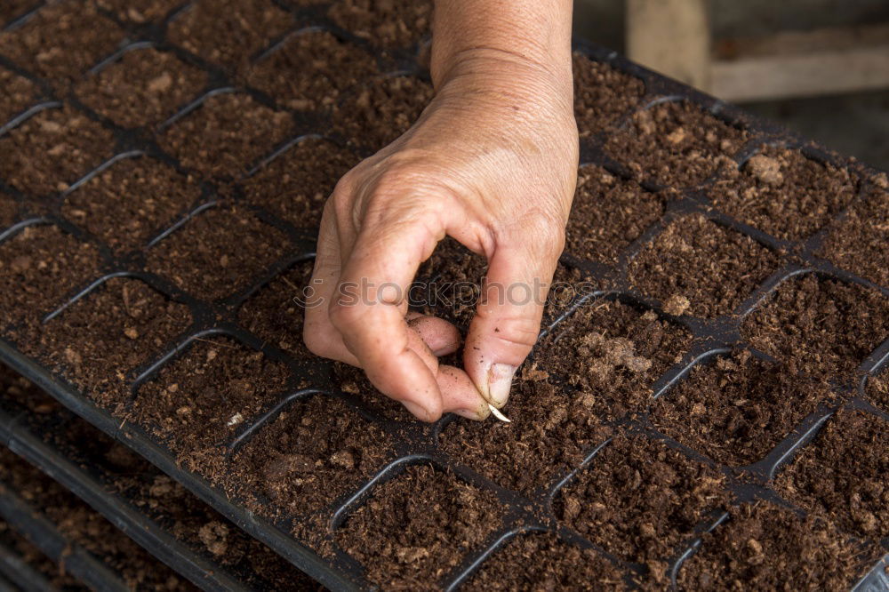 Similar – Image, Stock Photo footprints Red Footprint