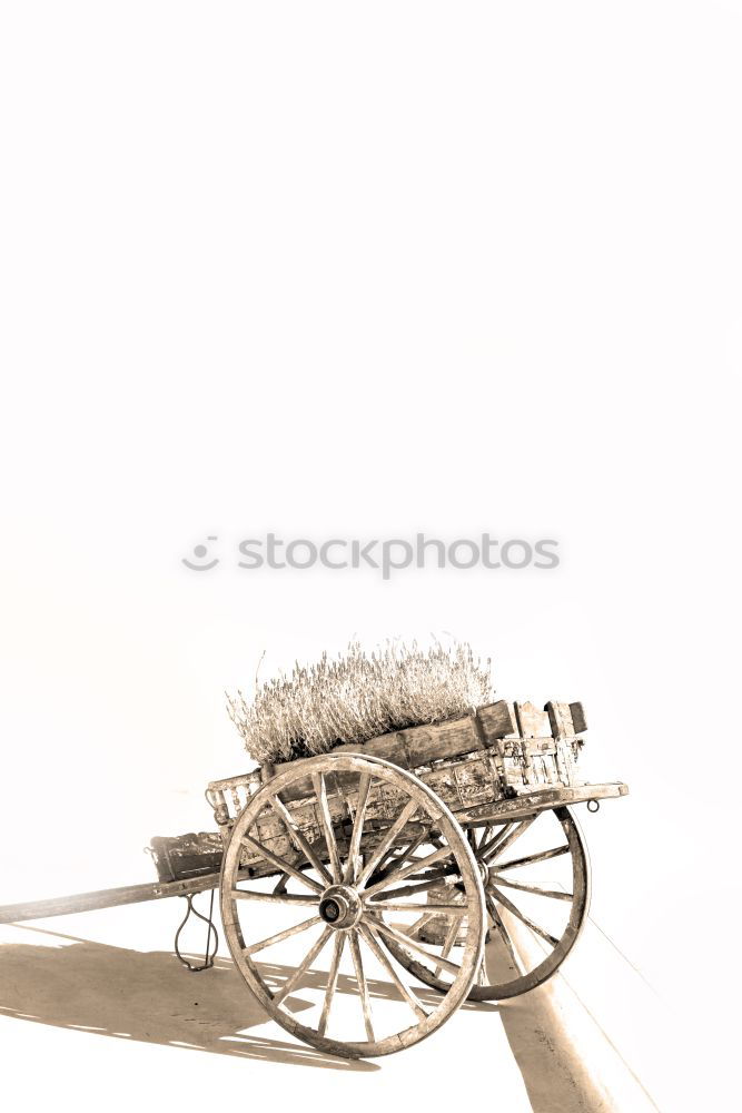 Similar – Image, Stock Photo exhausted Carriage