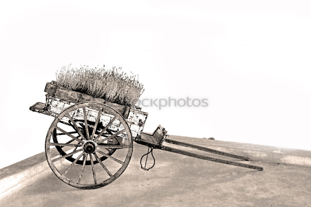 Similar – Image, Stock Photo exhausted Carriage