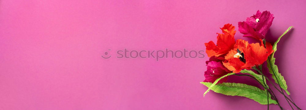 Similar – Image, Stock Photo peony Environment Nature