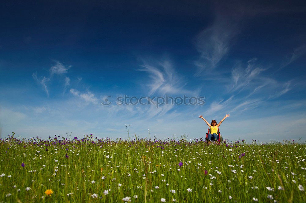 Similar – Image, Stock Photo midair Airplane