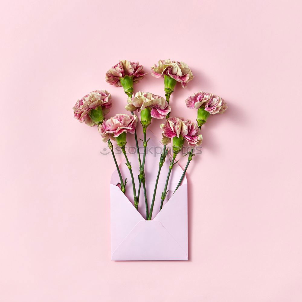 Similar – Image, Stock Photo Open envelope with flowers