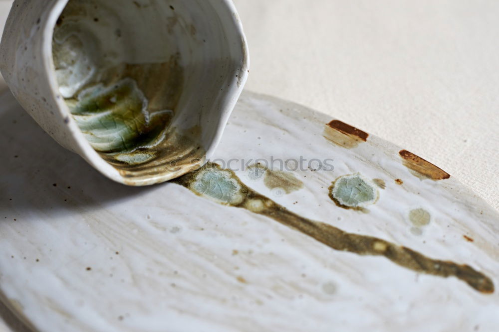 A snail shell lies in a bowl