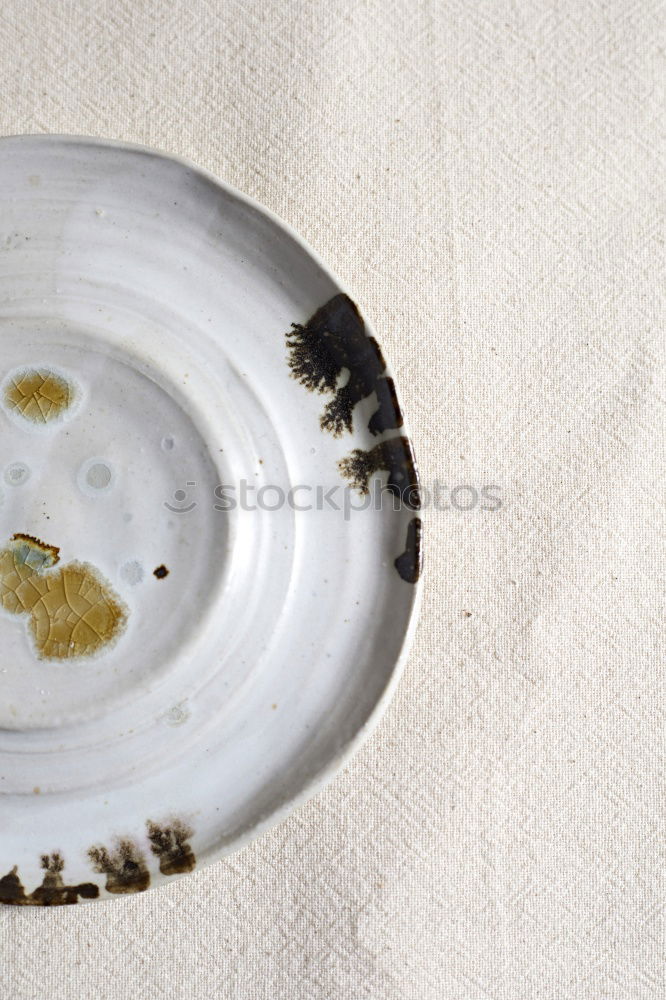 Similar – A snail shell lies in a bowl