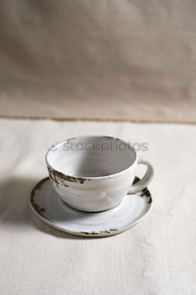 Similar – A snail shell lies in a bowl