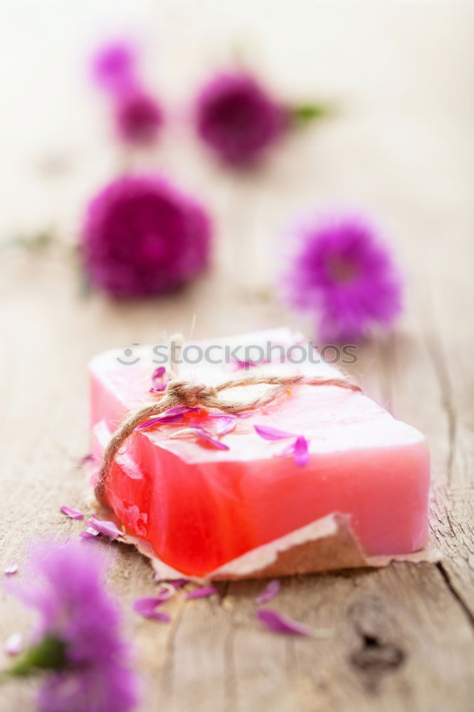 Similar – Image, Stock Photo Ice-cream with taste of a tea rose