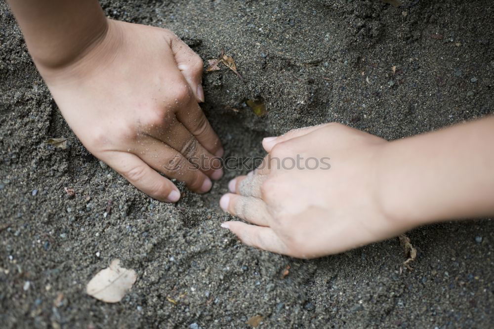 Similar – Image, Stock Photo “A herd of nothing!”