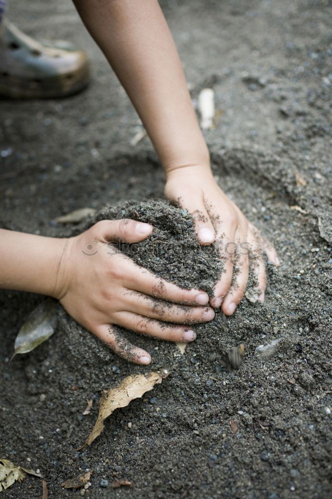 Similar – Image, Stock Photo stone collection Life