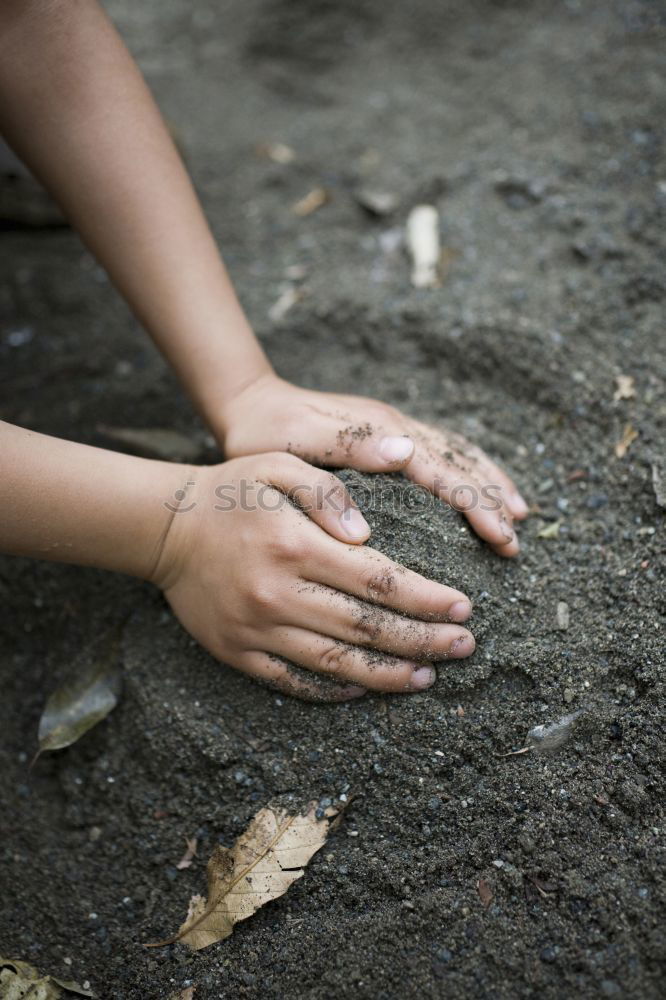 Similar – Image, Stock Photo Clap your hands say Yeah