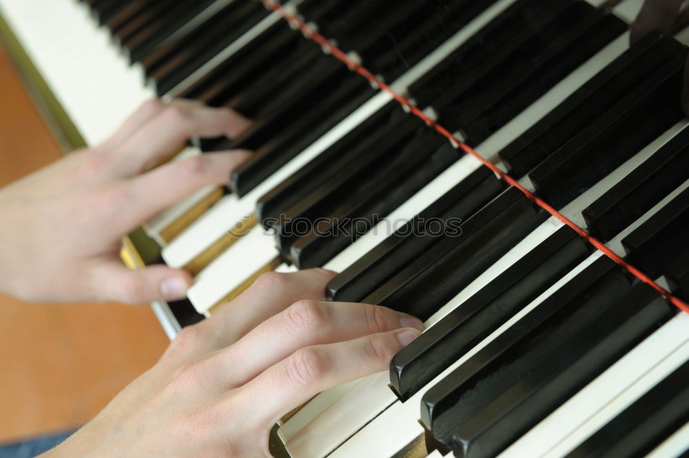 Similar – Image, Stock Photo music Accordion Sound