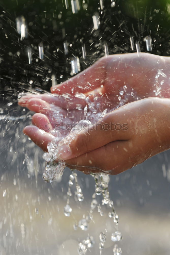 Similar – Young water frog sitting on hand