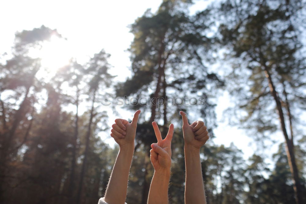 Image, Stock Photo summer dreams Lifestyle