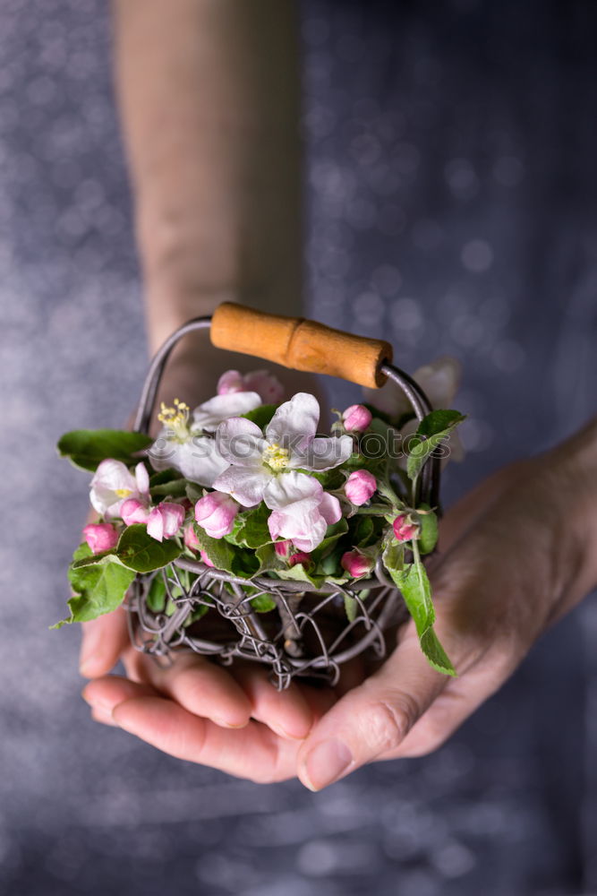 Similar – Image, Stock Photo Female hands hold autumn bouquet of flowers
