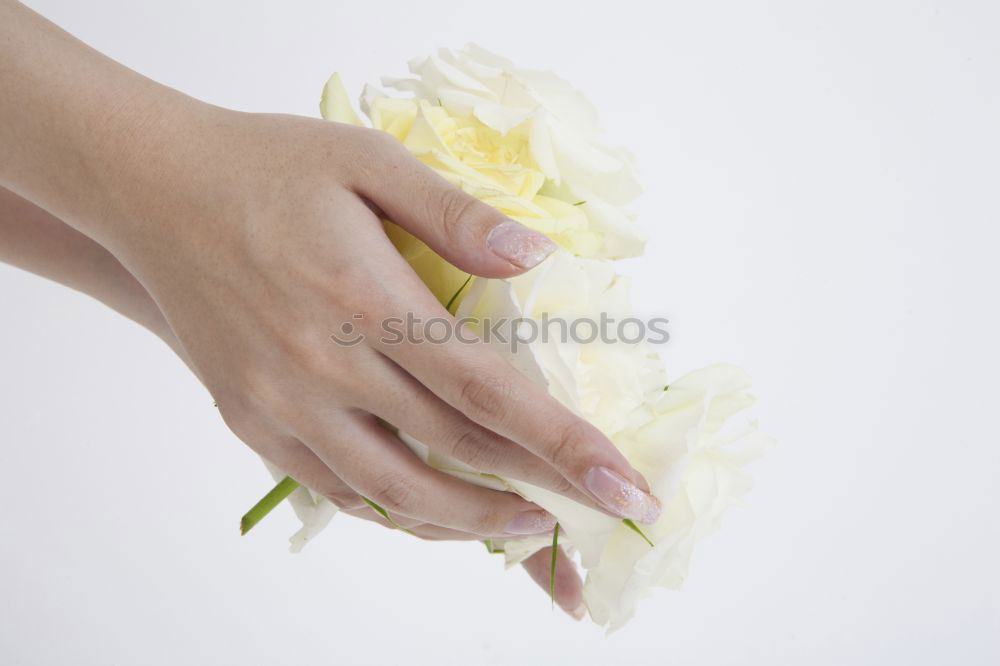 Similar – Baby hand with daisy