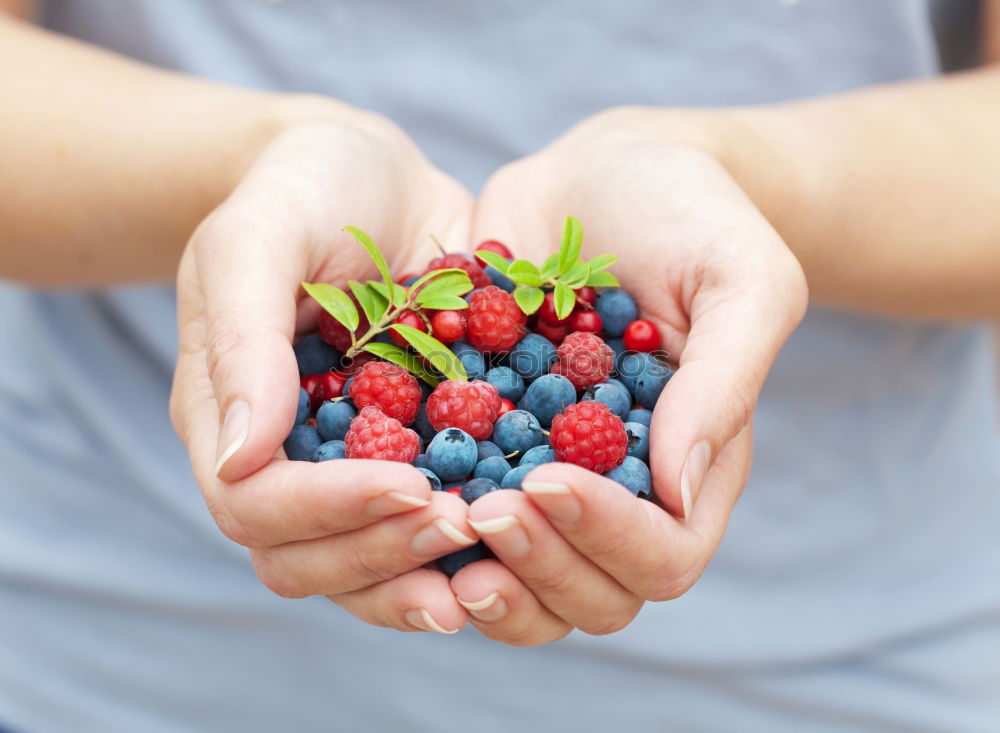 Similar – Old woman’s hands holding blackberries