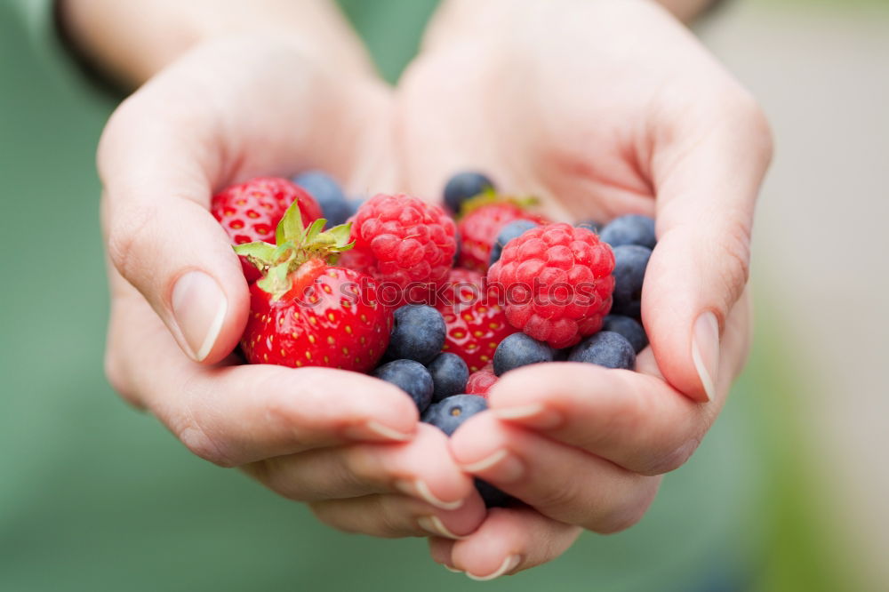 Similar – Girl enjoying eating the fresh blueberries outdoors