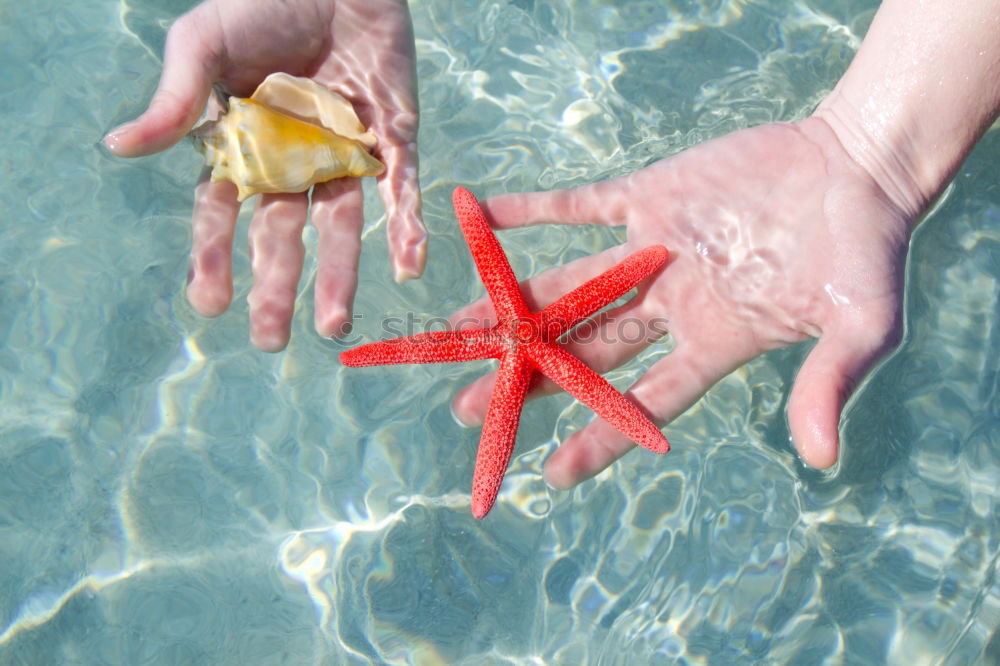 Similar – Image, Stock Photo underwater love Diver