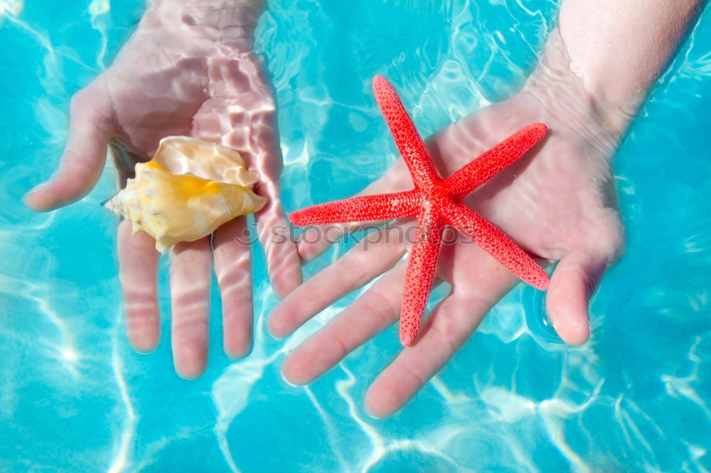 Similar – Image, Stock Photo underwater love Diver