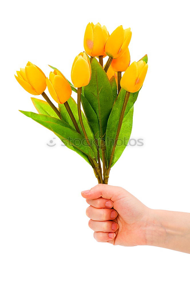 Similar – Woman hold bouquet of origami flowers