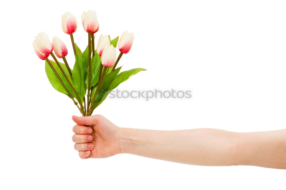 Similar – Woman hold bouquet of origami flowers