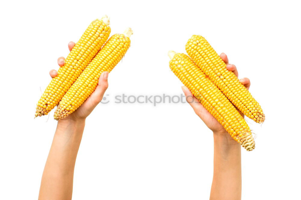 Similar – Image, Stock Photo poppcorn Piston Corn cob