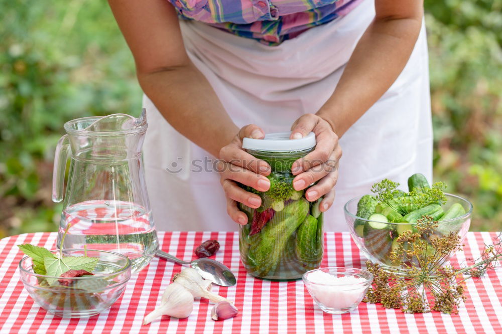 Similar – Pickling cucumbers with home garden vegetables and herbs