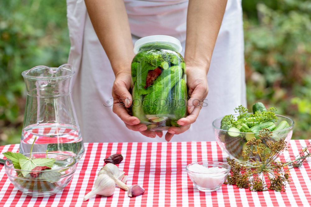 Similar – Pickling cucumbers with home garden vegetables and herbs