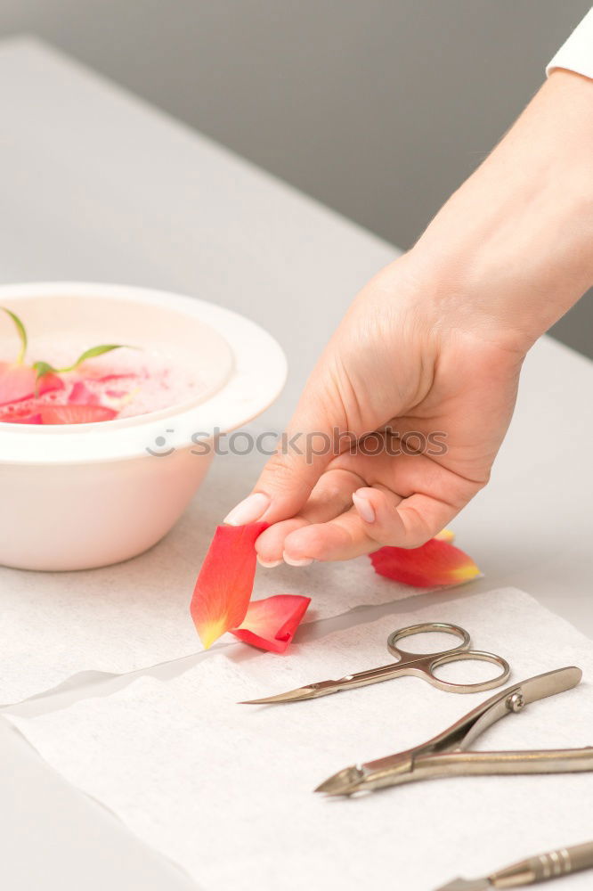 Similar – Image, Stock Photo Female hands make autumn bouquet of flowers