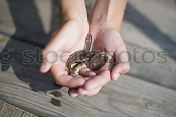 Similar – Image, Stock Photo Wavy Contentment