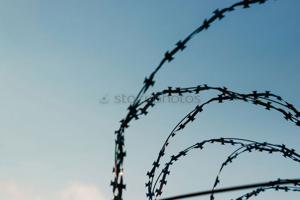 Similar – Fence with a barbed wire