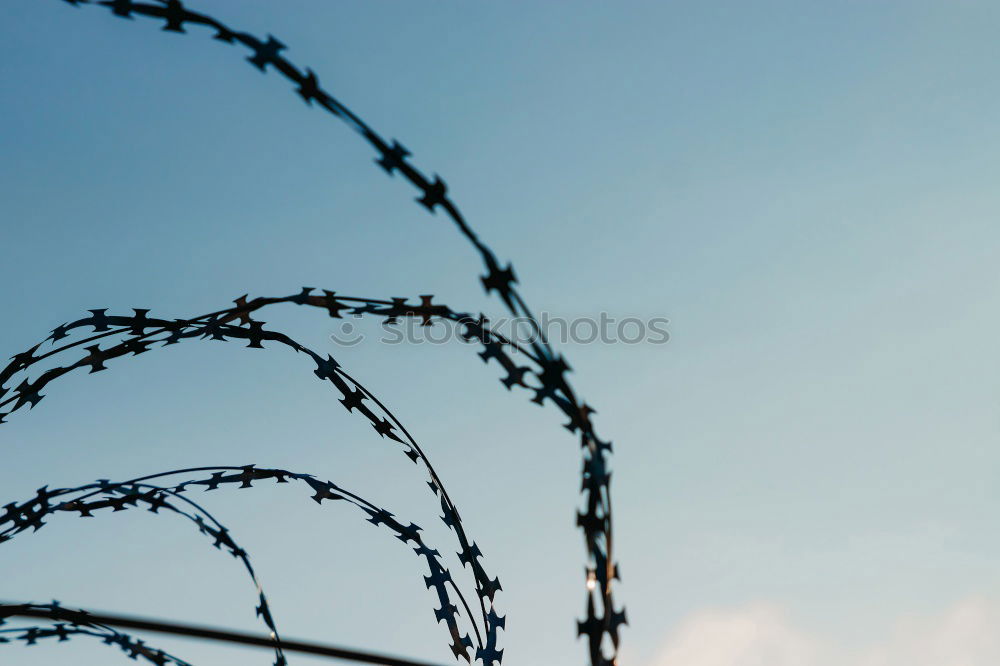 Similar – Fence with a barbed wire