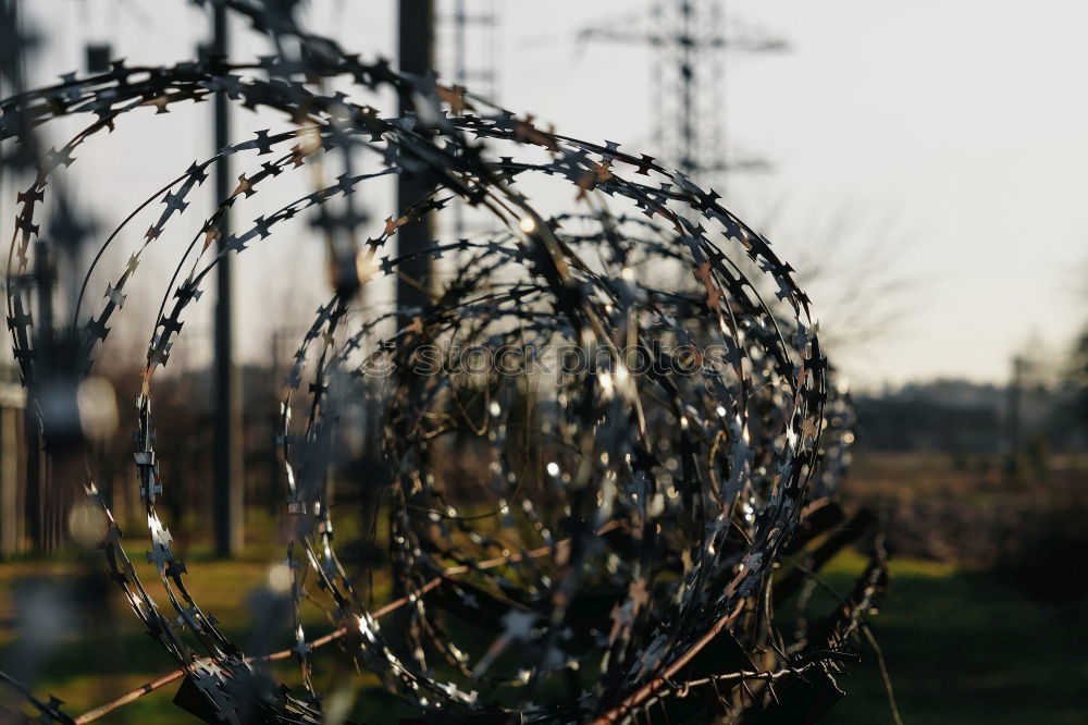 Similar – Image, Stock Photo dreary Environment Winter