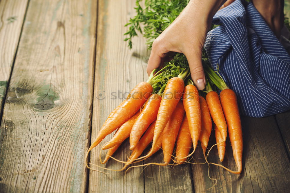 Similar – Two large ripe carrots lie in female hands