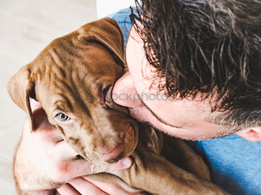 Similar – Cute puppy an his owner at the beach