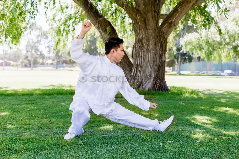 Similar – Image, Stock Photo dancing unicorn in the evening sun