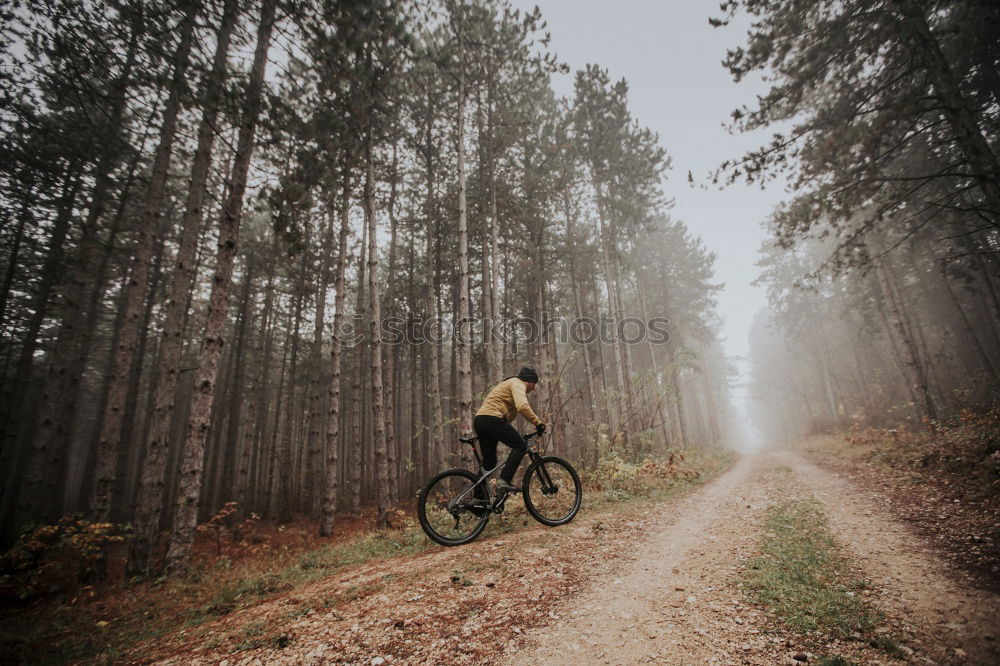 Cyclist Riding the Bike at Sunset. Sports Concept