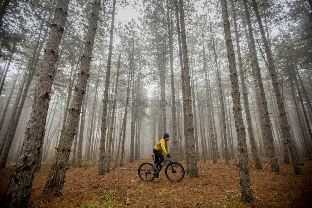 Similar – Waschküche Fahrrad Herbst