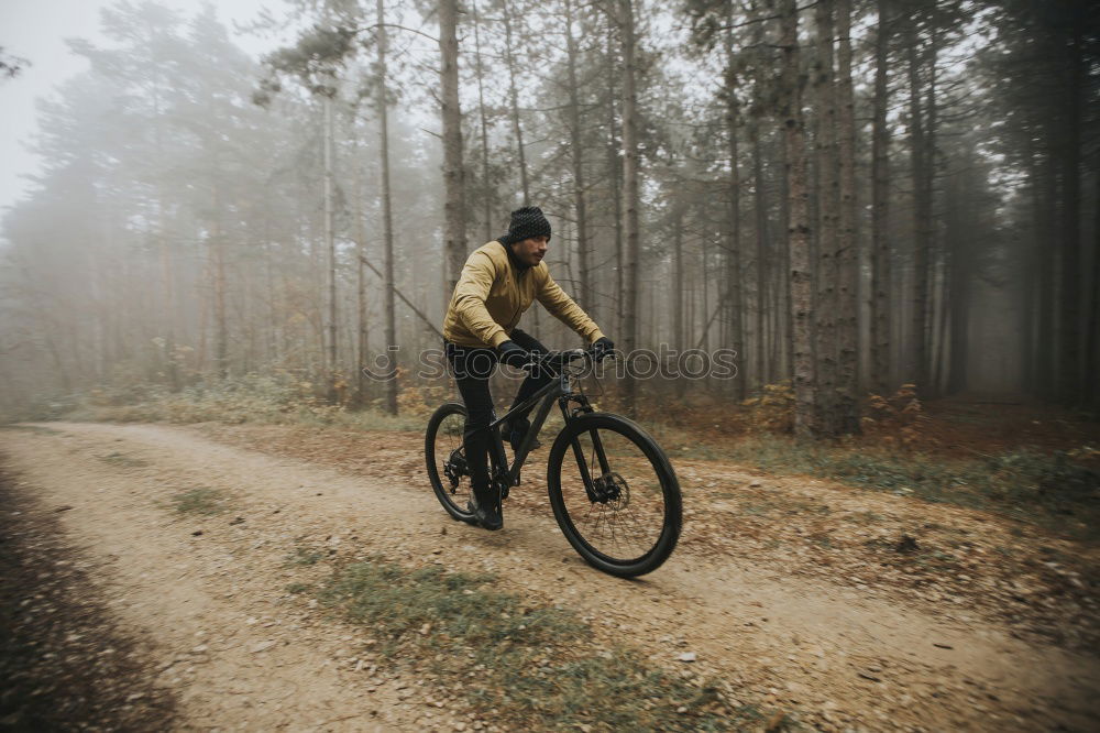 Cyclist Riding a bike at sunset. Sports